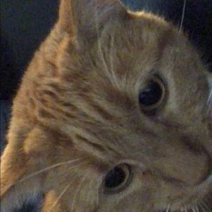 Meet your Posher, Julianna